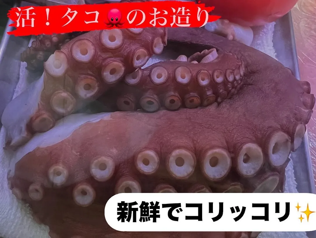 今日も日中は良い天気で過ごしやすい気温でしたね！