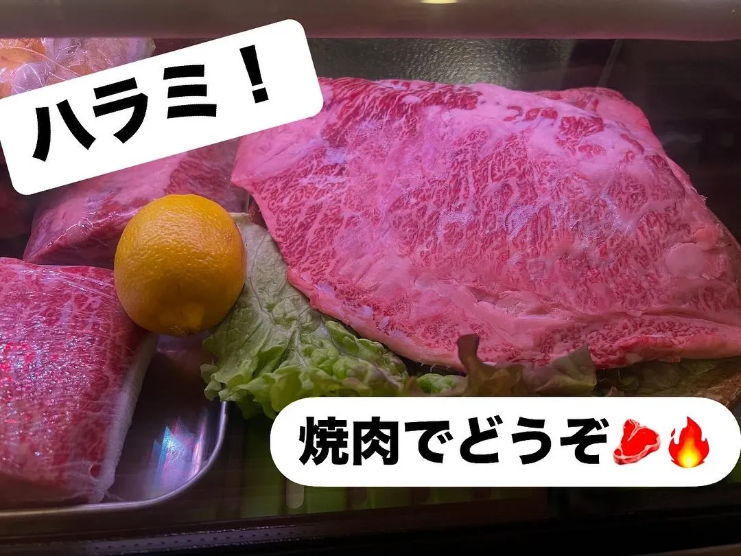 今日も日中は良い天気で過ごしやすい気温でしたね！