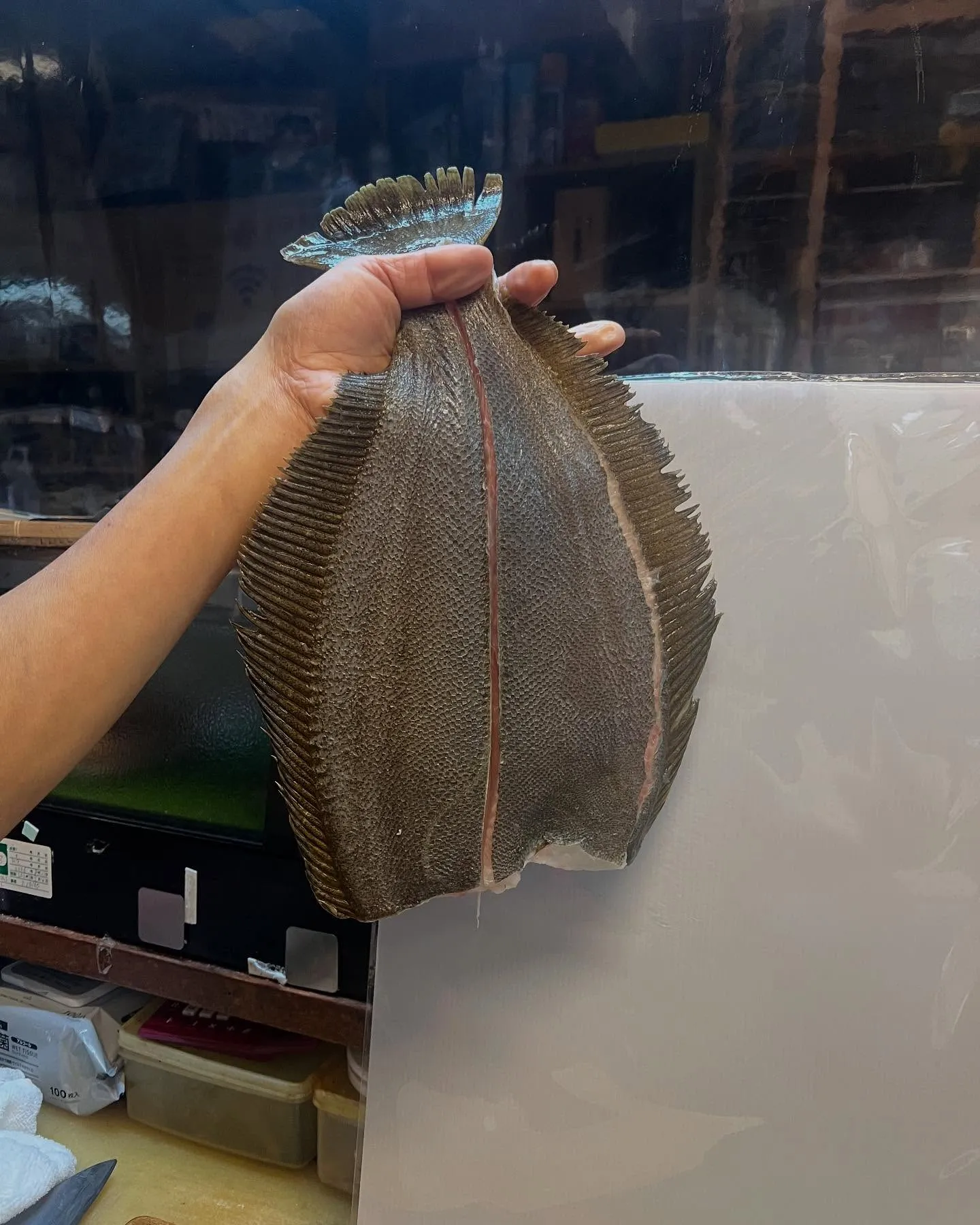 めちゃくちゃデカいタコ🐙入荷しました!!