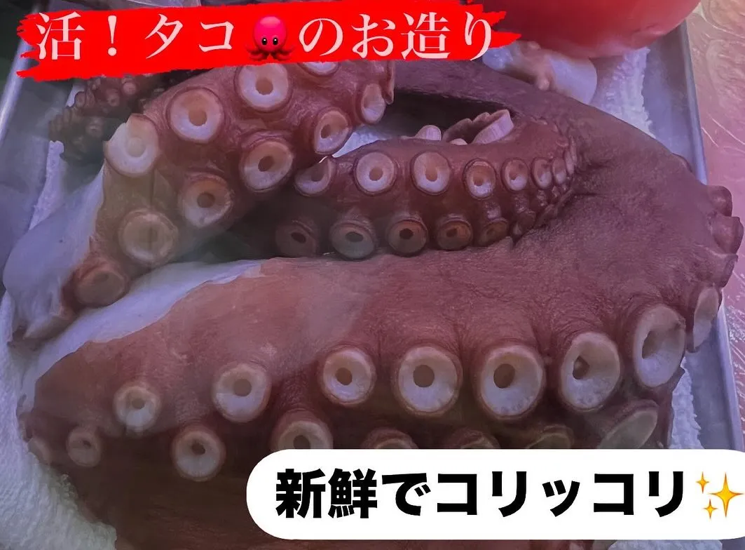 今日は雨も上がって行動しやすいですね〜